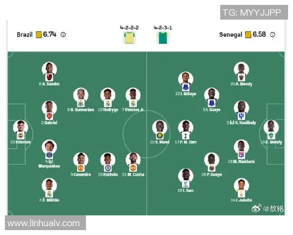 内加尔足球明星阵容揭秘及其在国际赛场上的表现分析