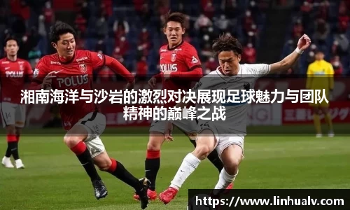 欧亿体育官网